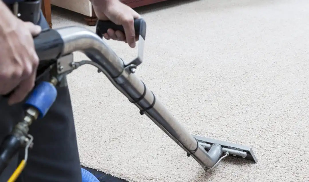 Why Professional Carpet Cleaning is Worth Every Penny