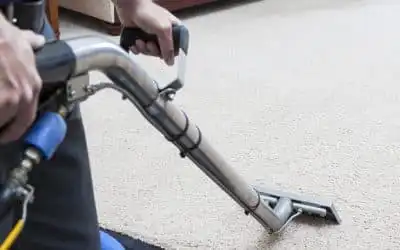 Why Professional Carpet Cleaning is Worth Every Penny