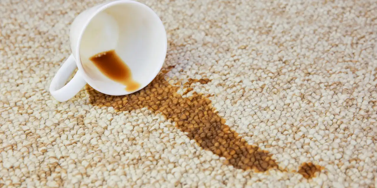 Cup of coffee fell on carpet. Stain is on floor.