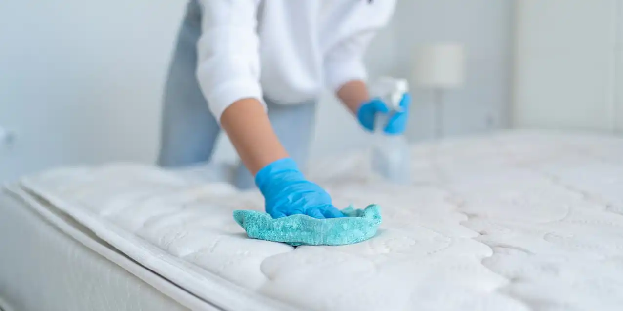 Woman Spraying Mattress Cloth With Special Detergents To Remove Stains